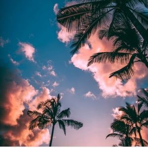 Meet your Posher, Abigail